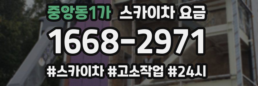 중앙동1가 스카이차 요금