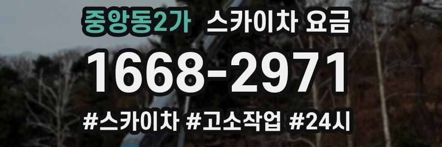 중앙동2가 스카이차 요금
