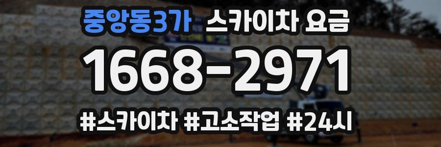 중앙동3가 스카이차 요금