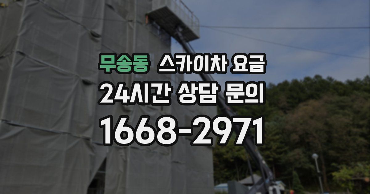 무송동 스카이차 요금