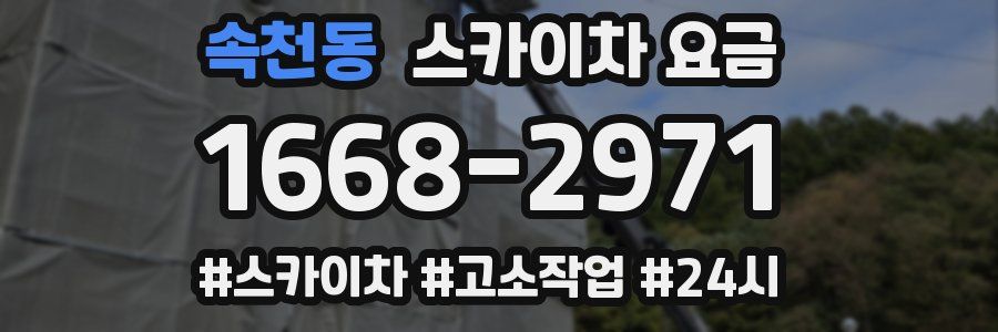 속천동 스카이차 요금