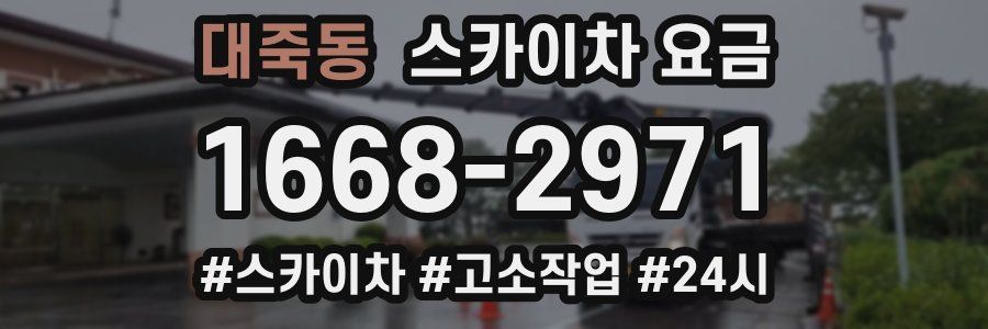 대죽동 스카이차 요금