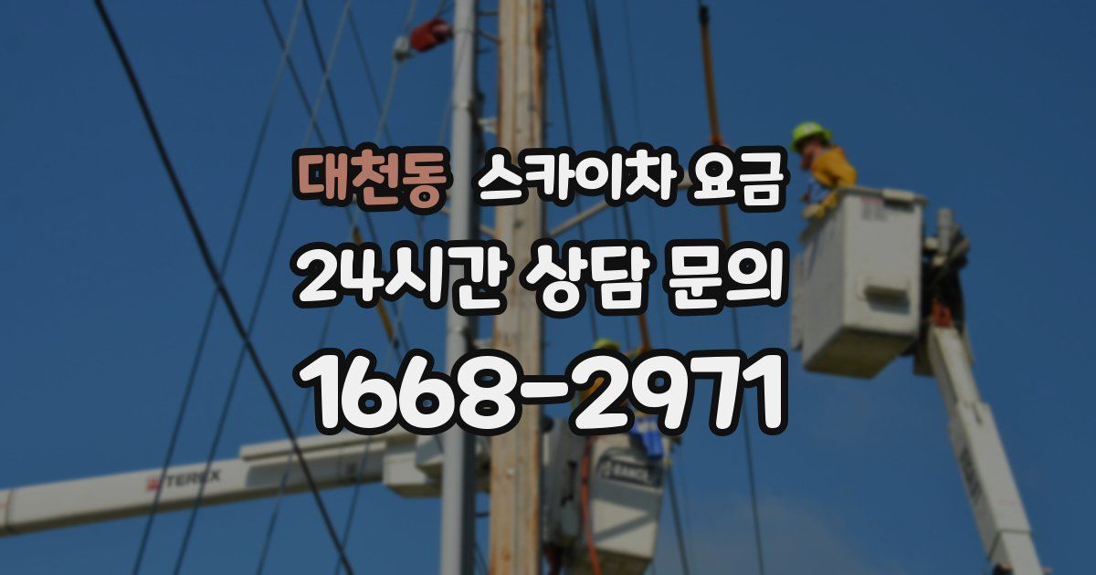 대천동 스카이차 요금