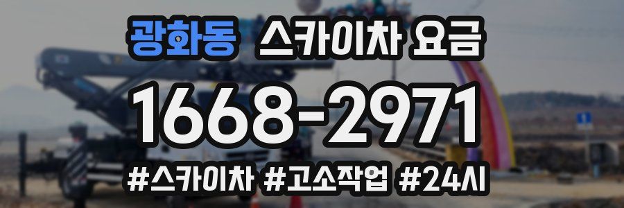 광화동 스카이차 요금