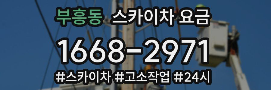 부흥동 스카이차 요금