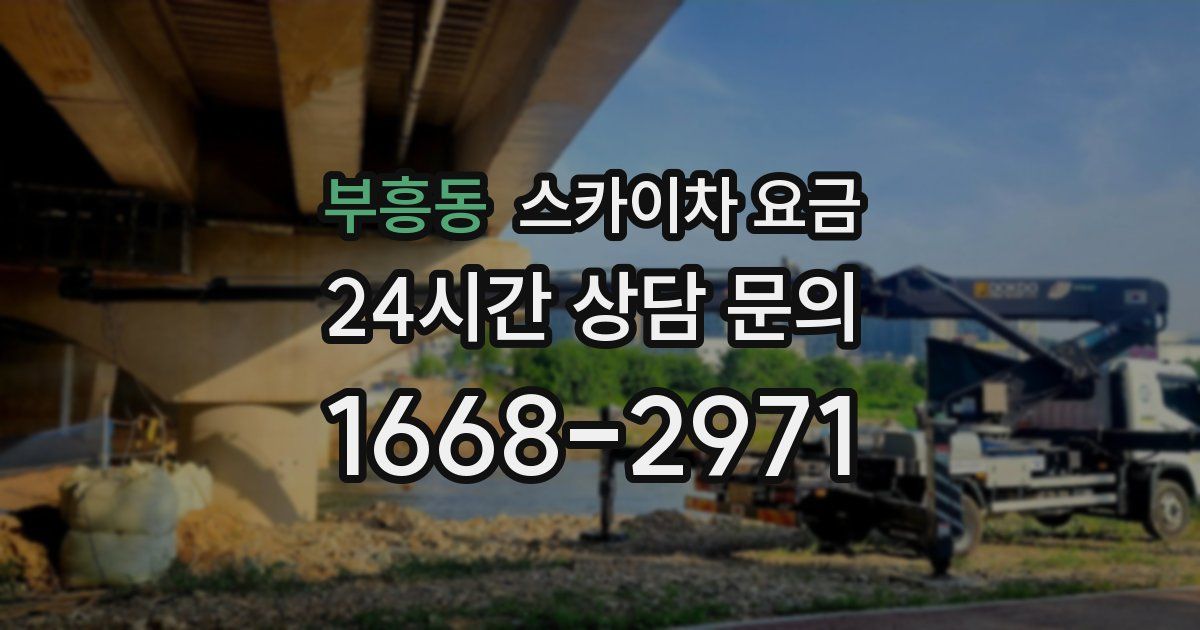 부흥동 스카이차 요금