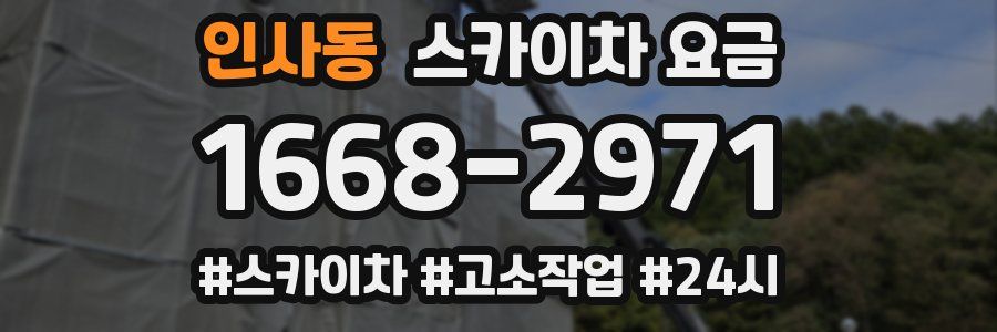 인사동 스카이차 요금