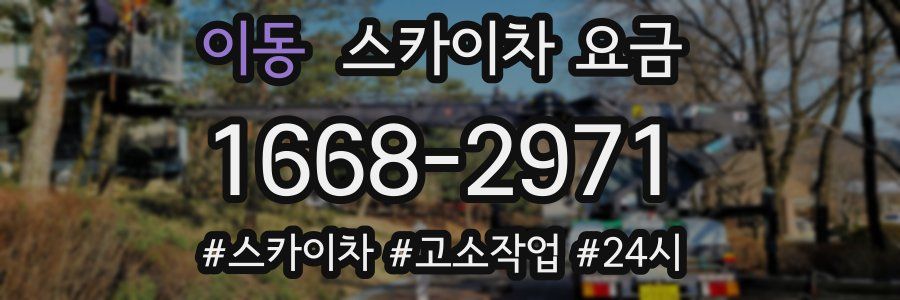이동 스카이차 요금