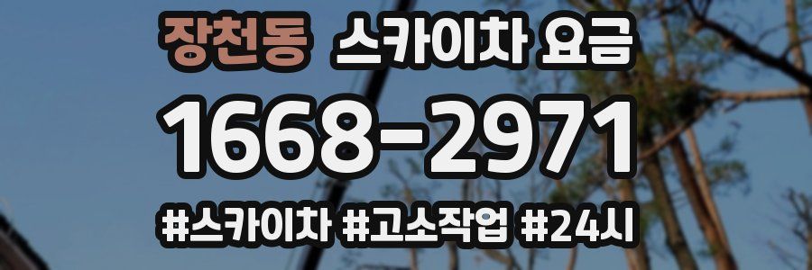 장천동 스카이차 요금