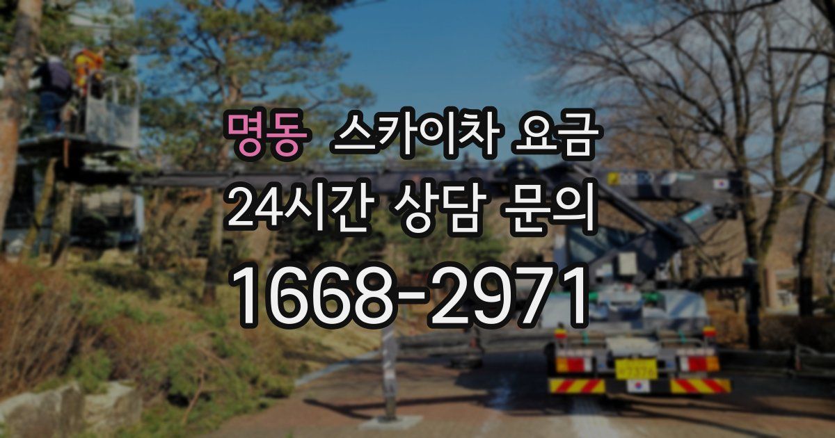 명동 스카이차 요금