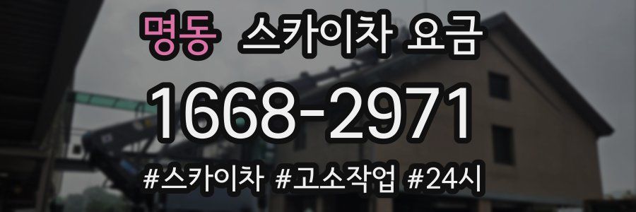 명동 스카이차 요금