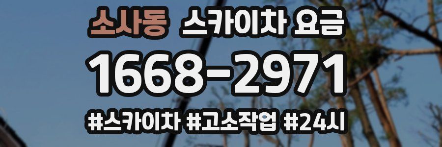 소사동 스카이차 요금
