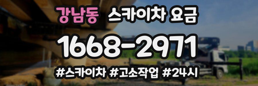 강남동 스카이차 요금