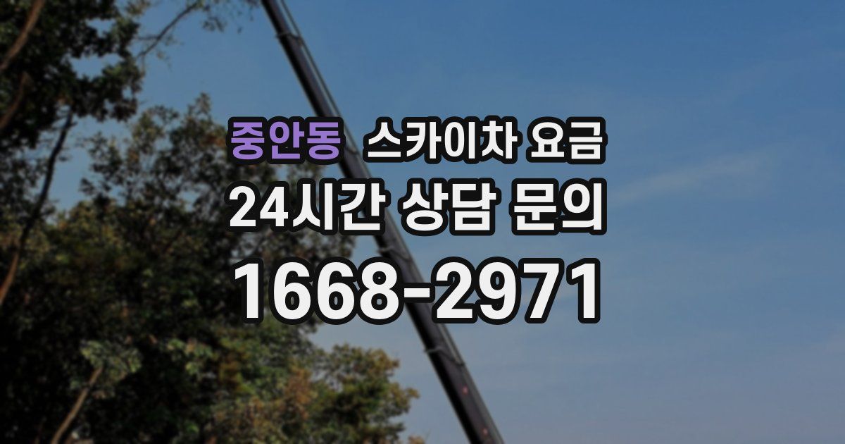 중안동 스카이차 요금