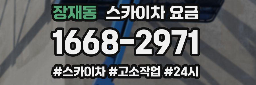 장재동 스카이차 요금