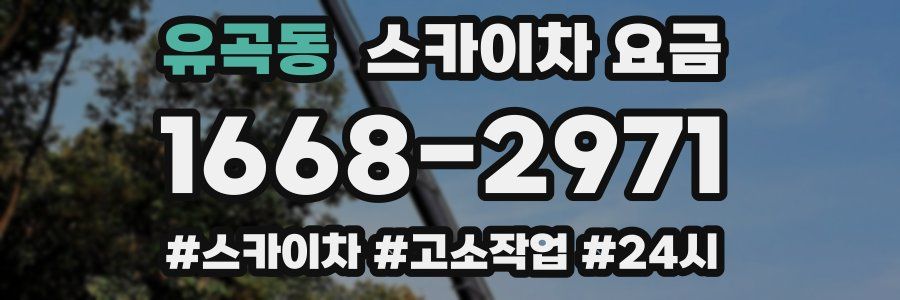 유곡동 스카이차 요금