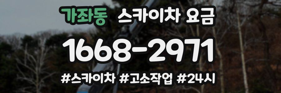 가좌동 스카이차 요금