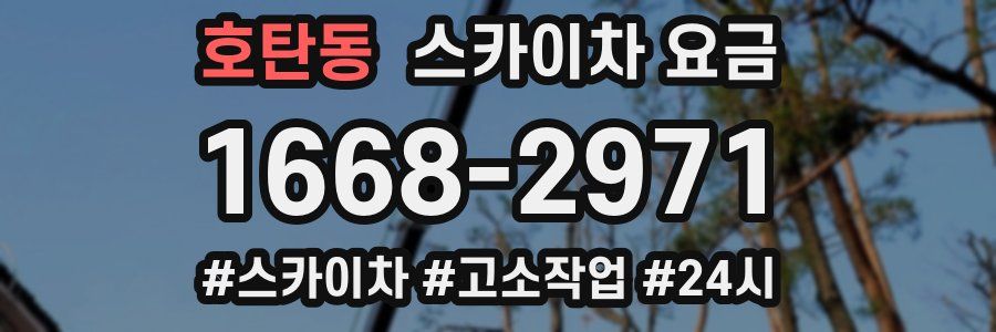 호탄동 스카이차 요금