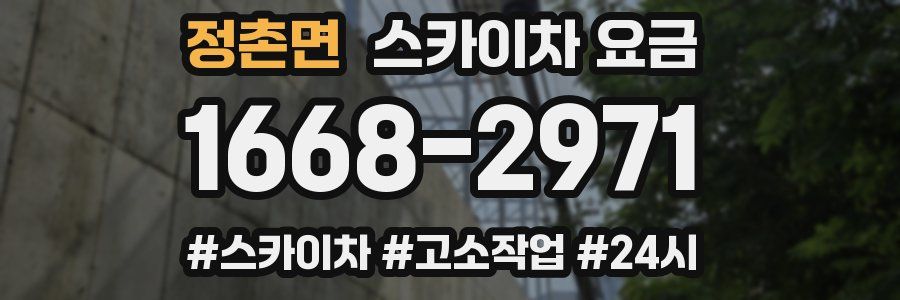 정촌면 스카이차 요금