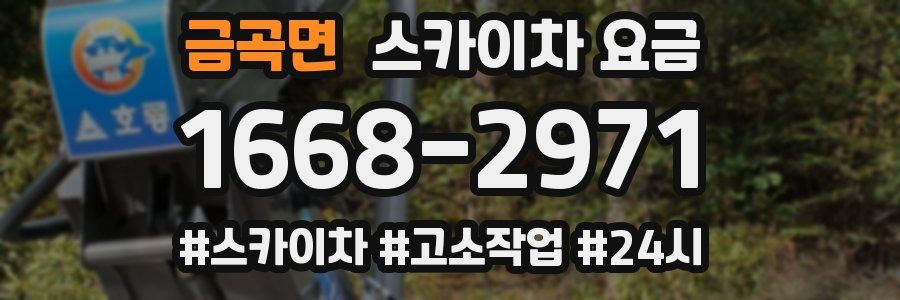 금곡면 스카이차 요금