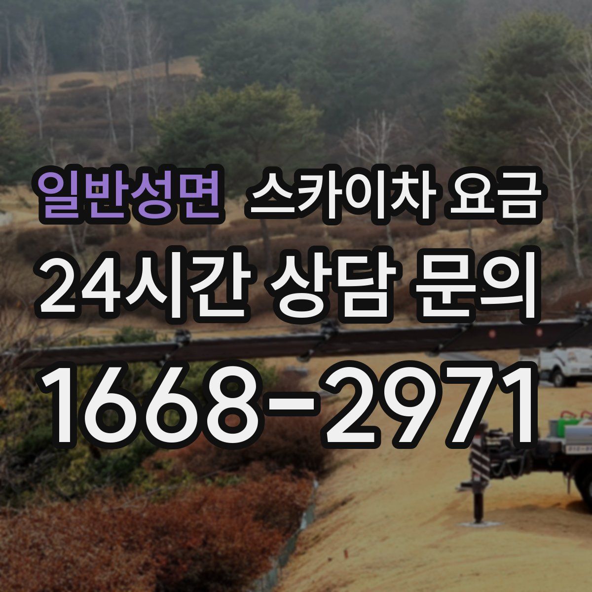 일반성면 스카이차 요금