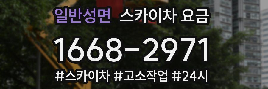 일반성면 스카이차 요금