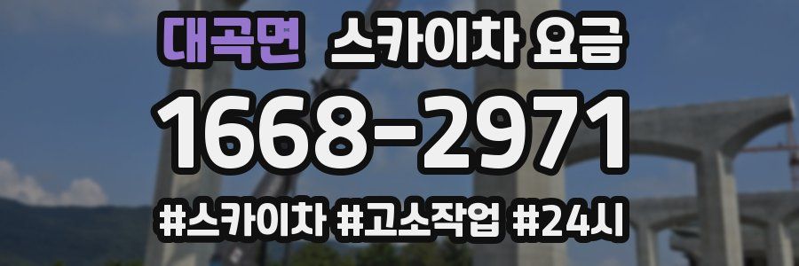대곡면 스카이차 요금
