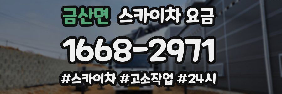 금산면 스카이차 요금