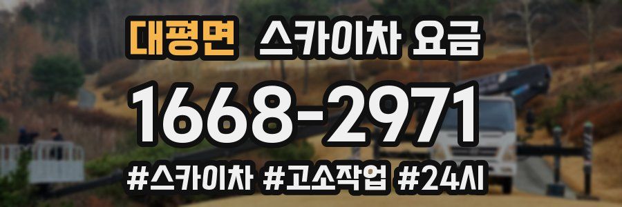 대평면 스카이차 요금