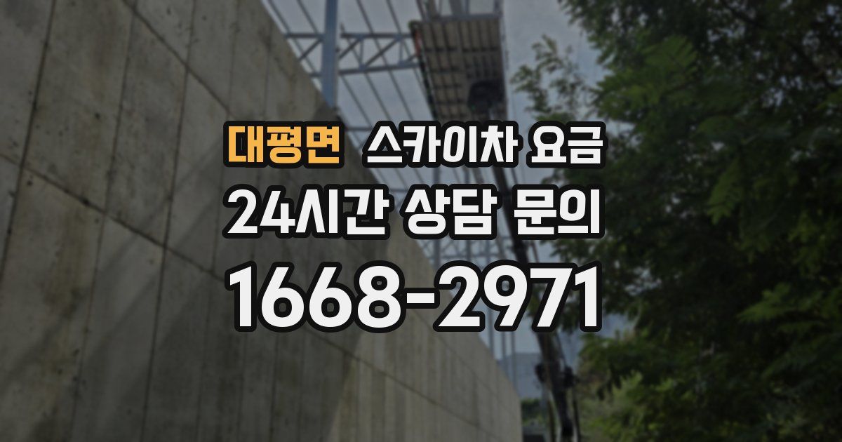 대평면 스카이차 요금