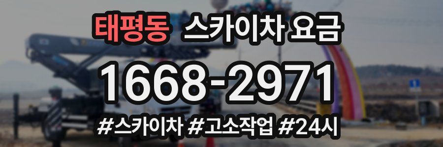 태평동 스카이차 요금