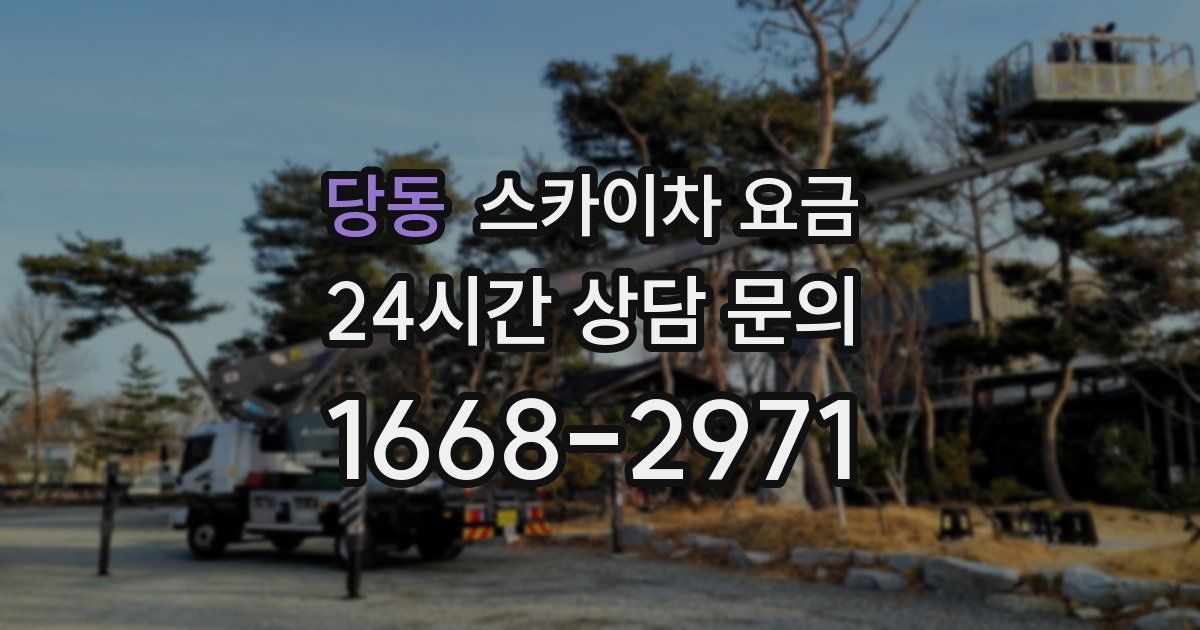 당동 스카이차 요금