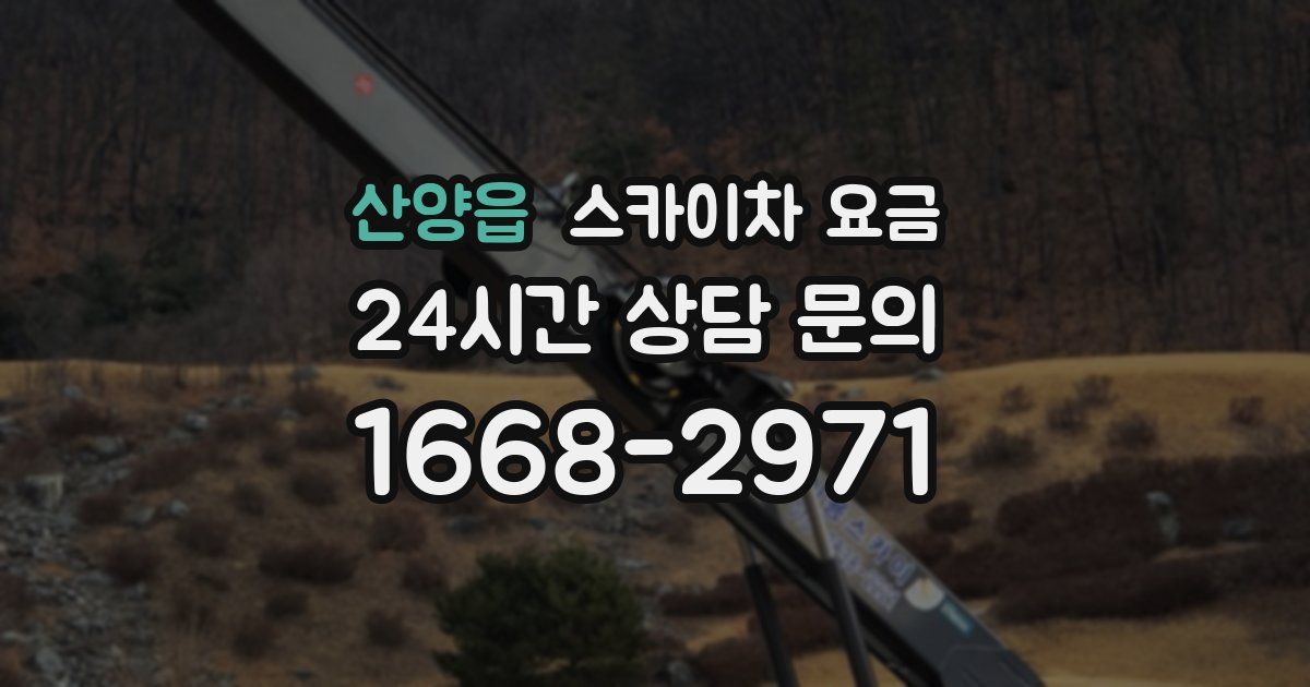 산양읍 스카이차 요금