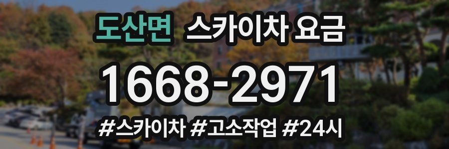 도산면 스카이차 요금