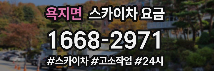 욕지면 스카이차 요금