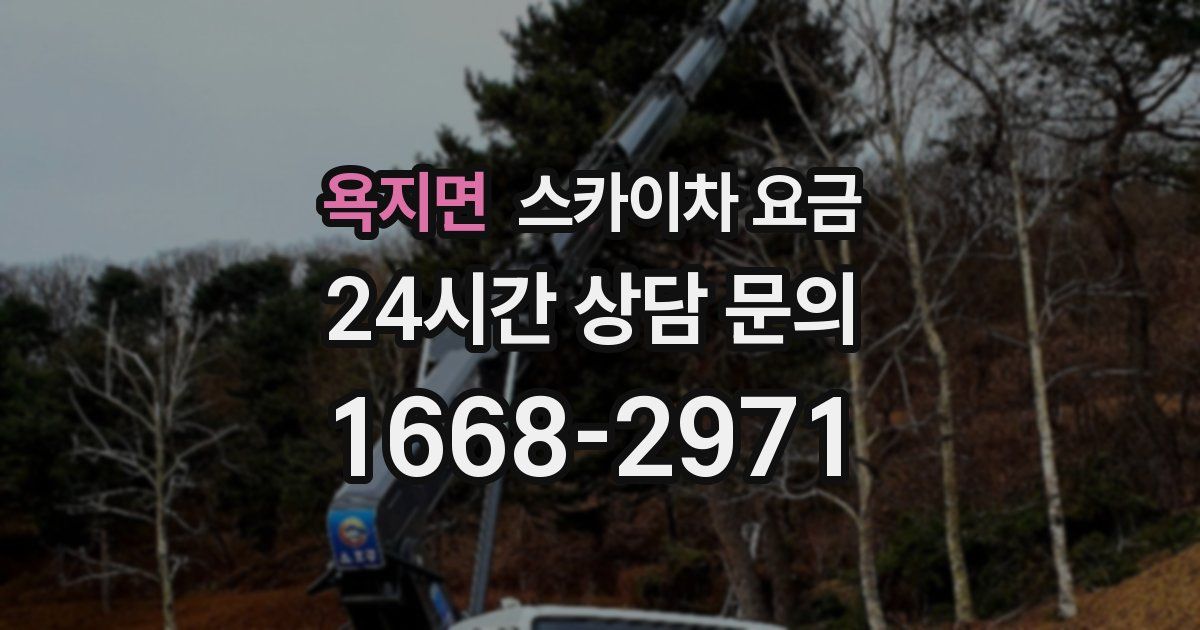 욕지면 스카이차 요금
