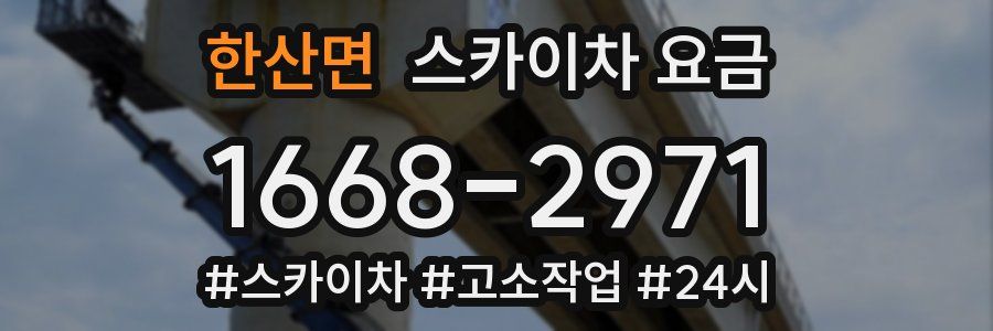 한산면 스카이차 요금