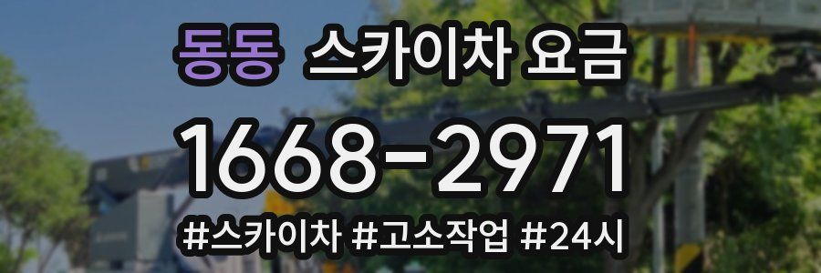 동동 스카이차 요금