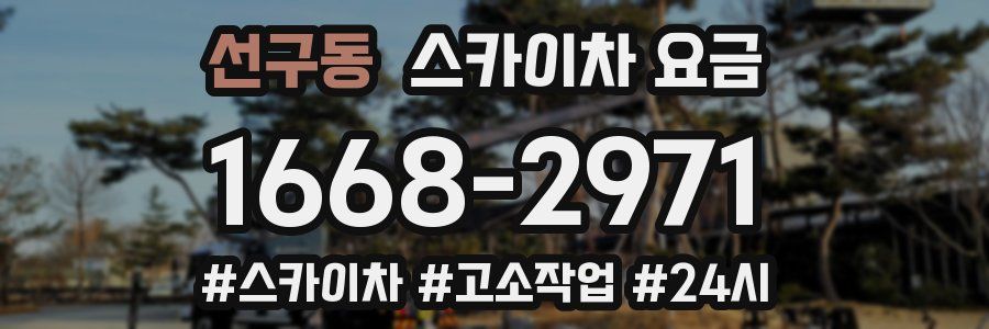 선구동 스카이차 요금