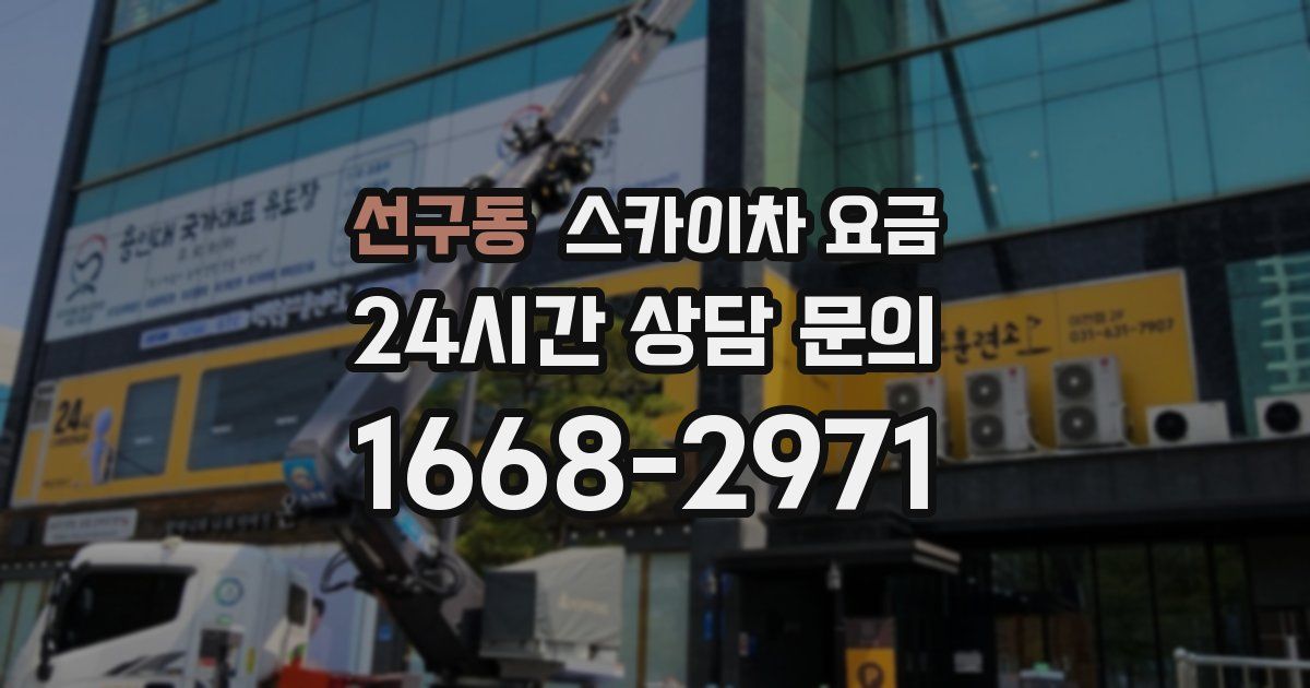 선구동 스카이차 요금
