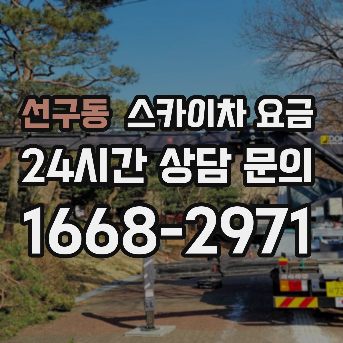 선구동 스카이차 요금