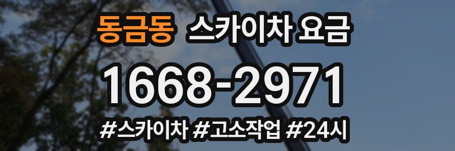 동금동 스카이차 요금