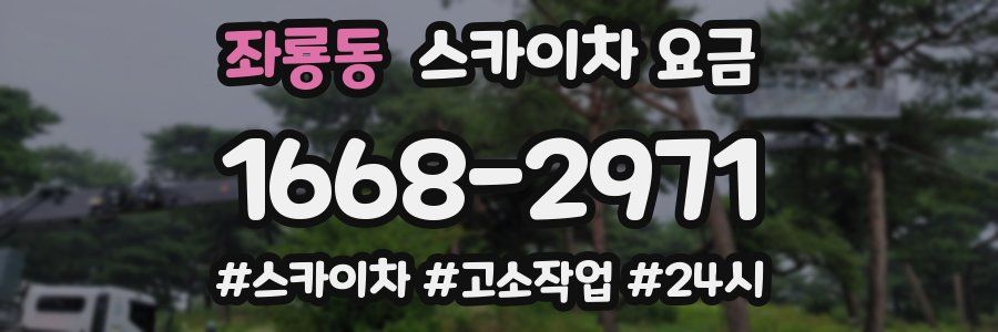 좌룡동 스카이차 요금
