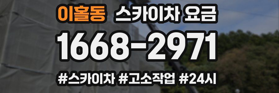 이홀동 스카이차 요금
