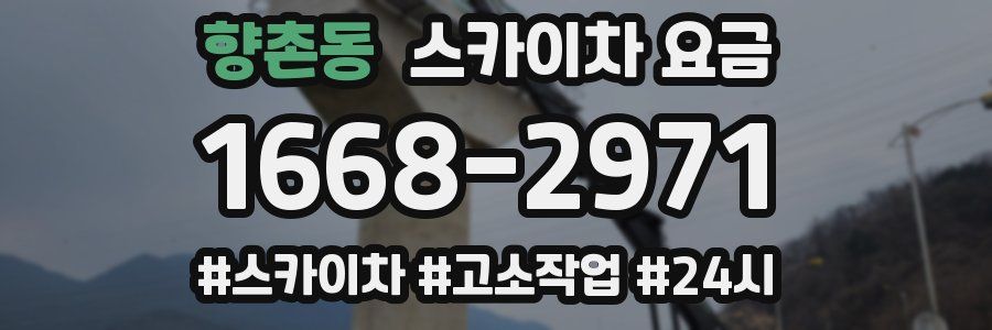 향촌동 스카이차 요금