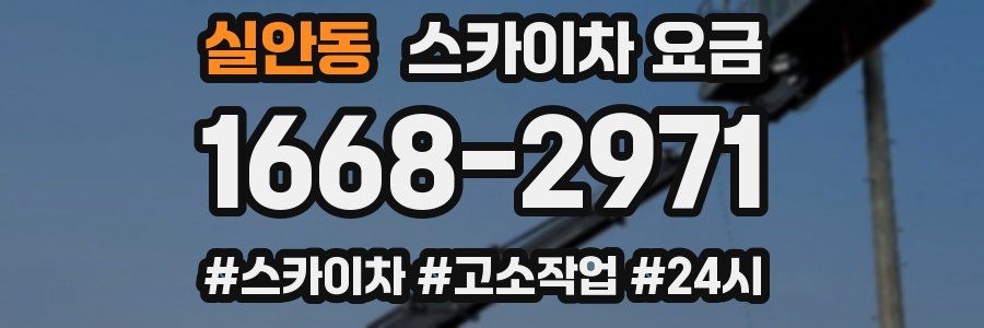 실안동 스카이차 요금