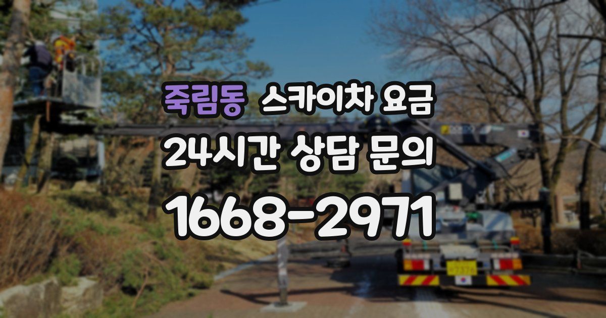 죽림동 스카이차 요금