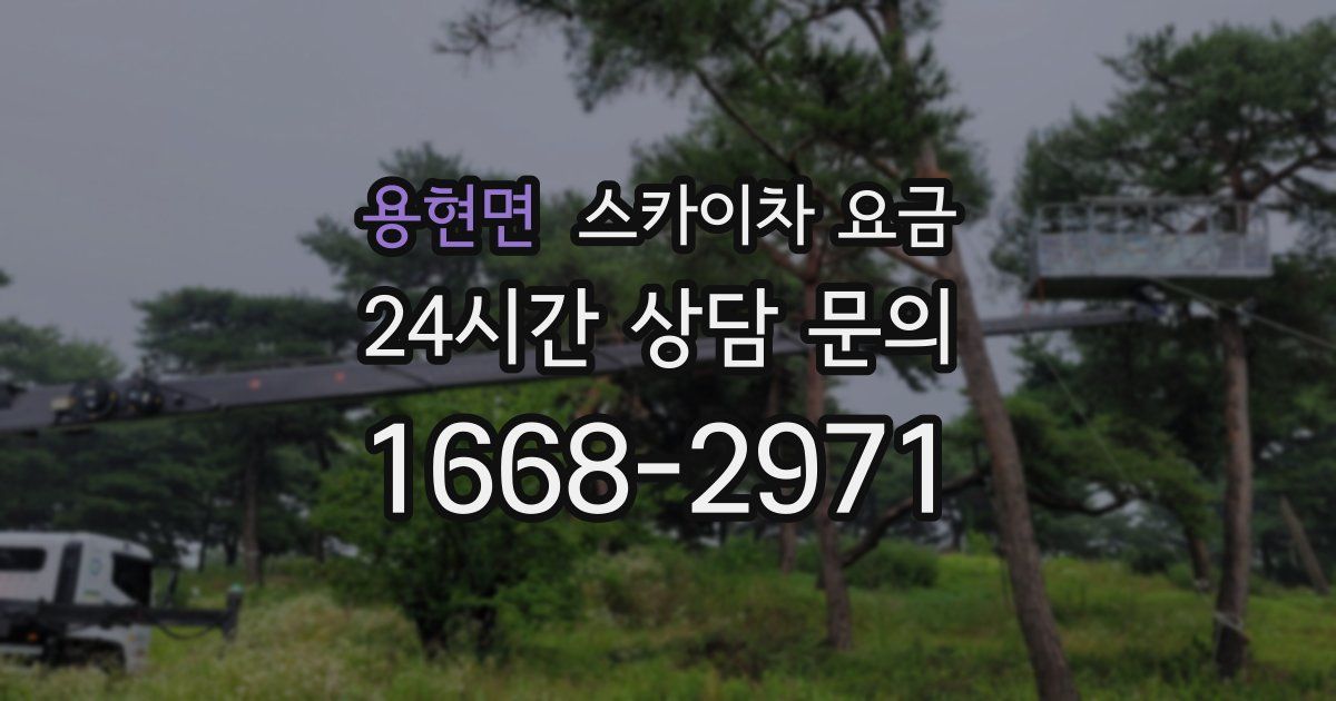 용현면 스카이차 요금