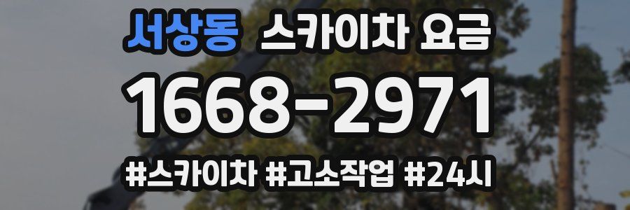 서상동 스카이차 요금