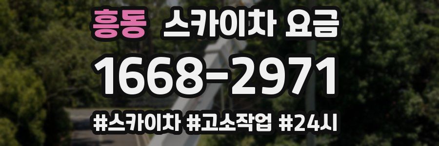 흥동 스카이차 요금